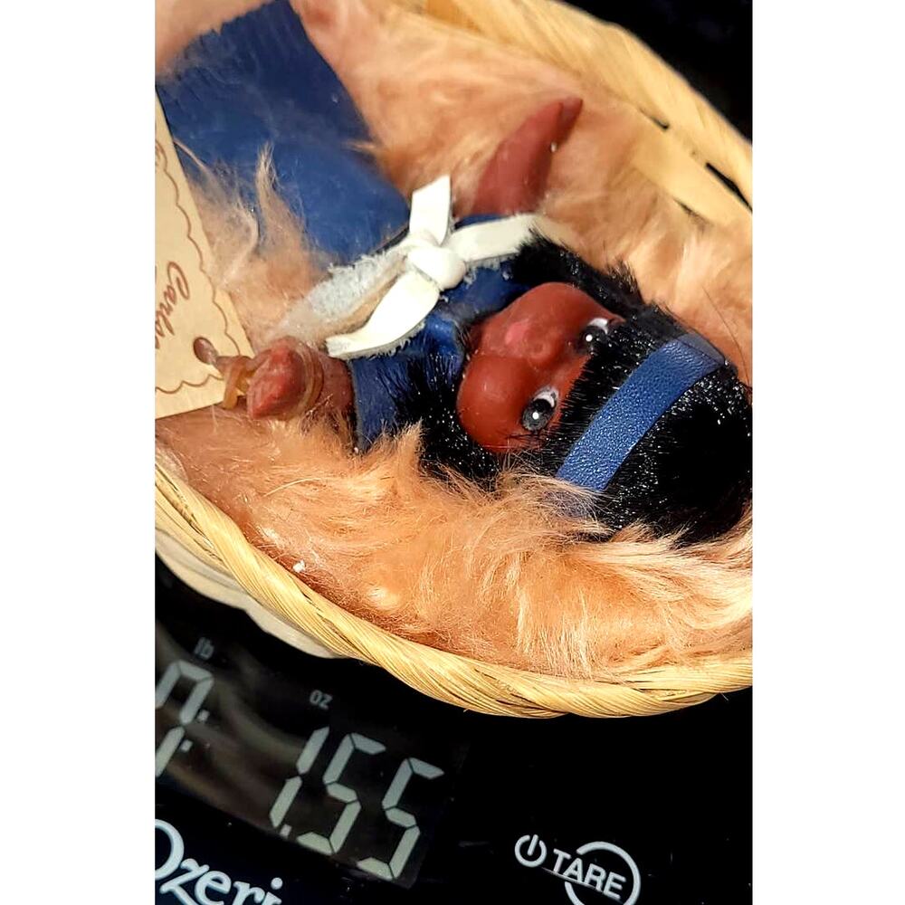 4" Vintage #'d Carlson Dolls Native American Baby Doll Aware of Our Heritage - Picture 5 of 5